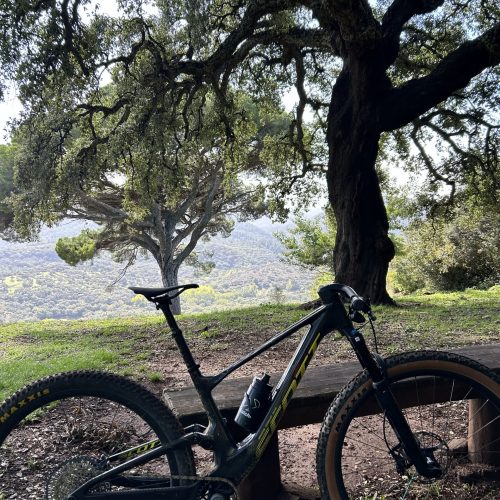 Bike 3