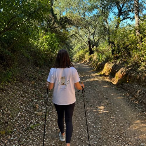 Nord-walking